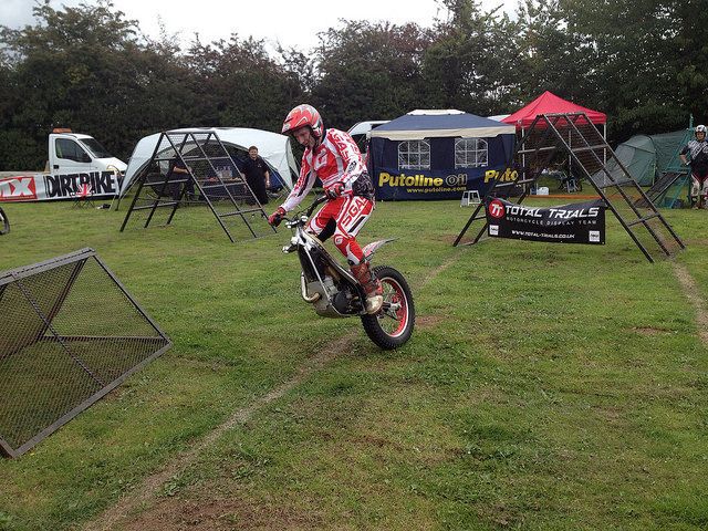 Прикольные картинки (91 фото)