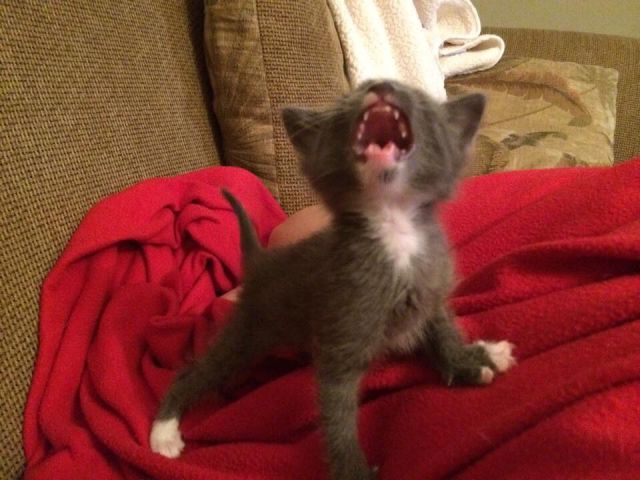 Прикольные картинки (91 фото)