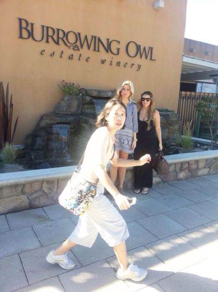 Прикольные картинки (91 фото)