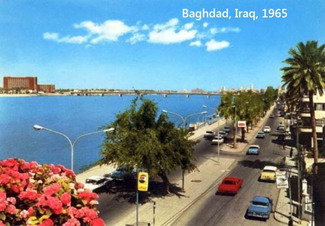 Прикольные картинки (91 фото)