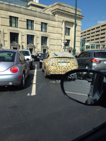 Прикольные картинки (91 фото)