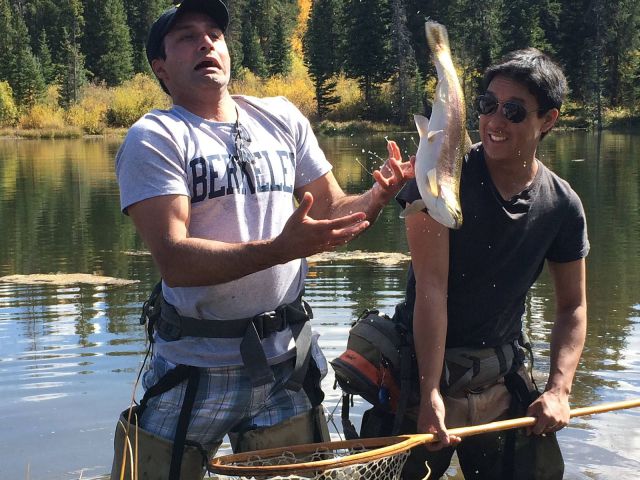 Прикольные картинки (91 фото)