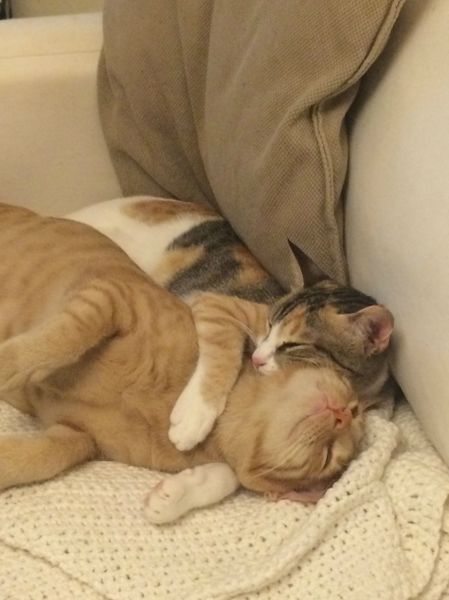 Прикольные картинки (91 фото)