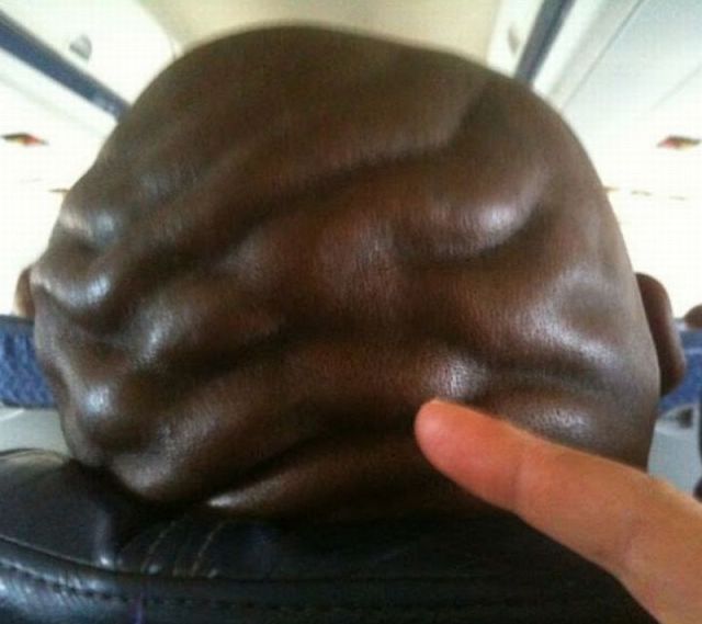 Прикольные картинки (91 фото)