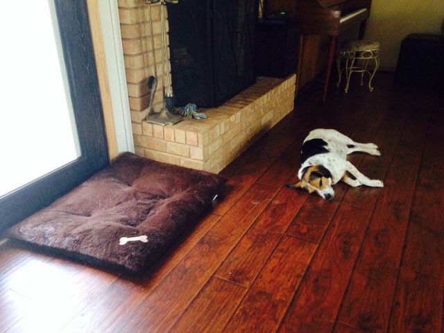 Прикольные картинки (91 фото)