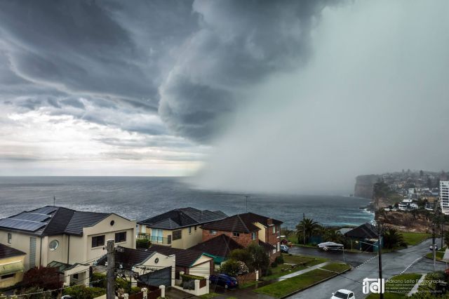 Прикольные картинки (91 фото)