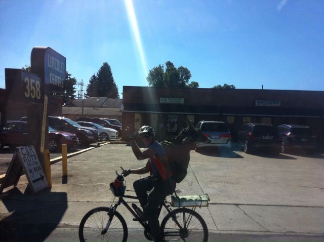 Прикольные картинки (91 фото)