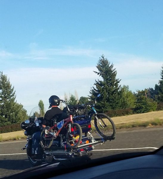 Прикольные картинки (91 фото)