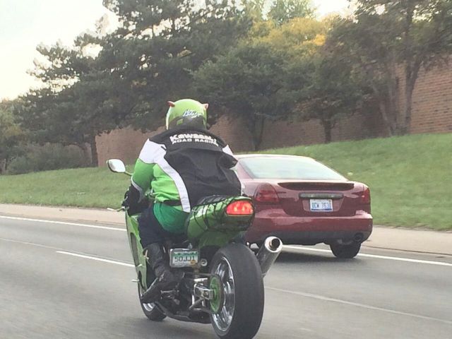 Прикольные картинки (91 фото)