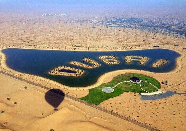 Прикольные картинки (91 фото)