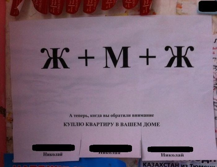 Забавные картинки