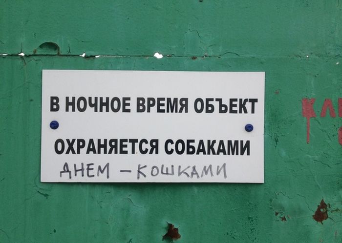 Забавные картинки