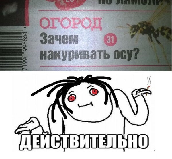 Забавные картинки