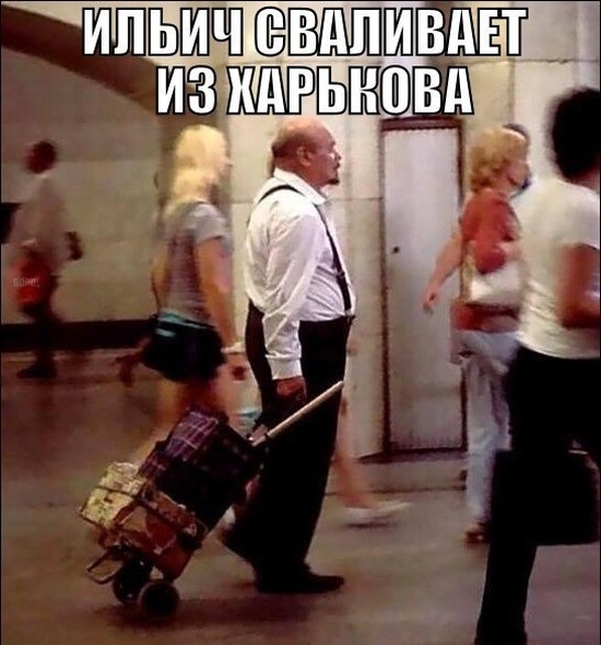 Забавные картинки