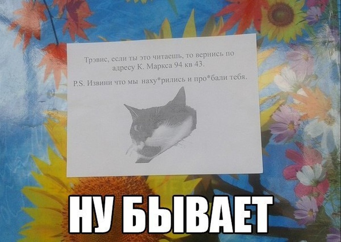 Забавные картинки