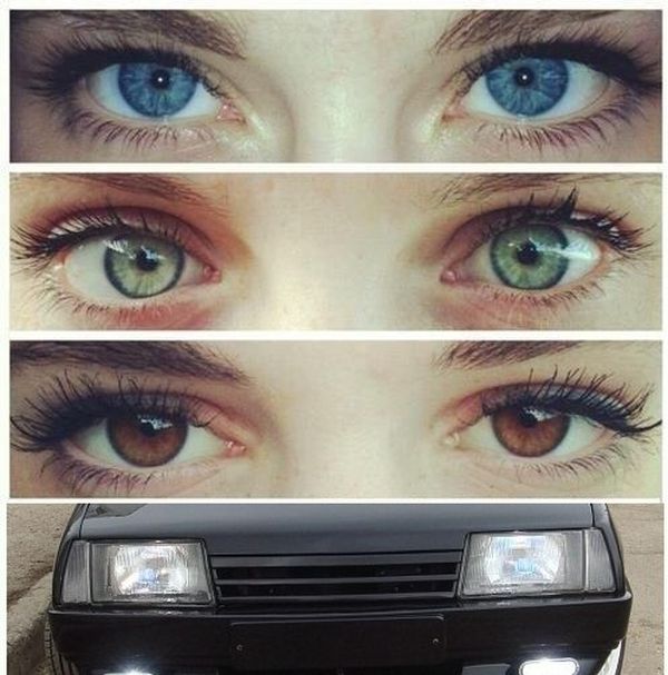 Забавные картинки