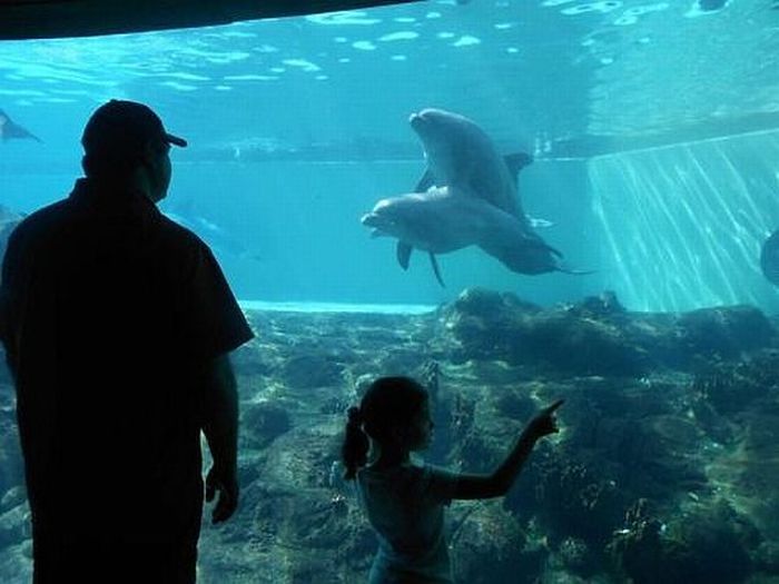 Забавные картинки