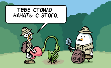 Забавные картинки