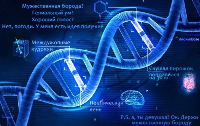 Забавные картинки