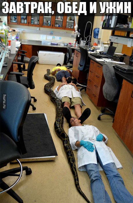 Прикольные картинки (81 фото)