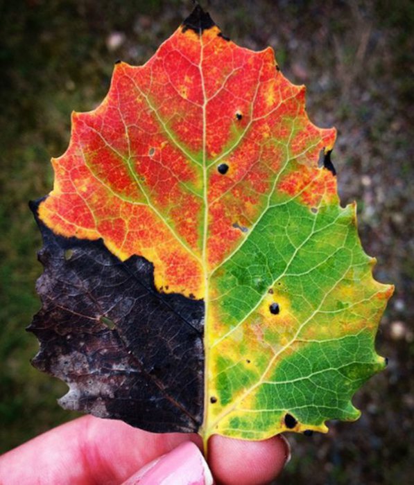 Прикольные картинки (81 фото)