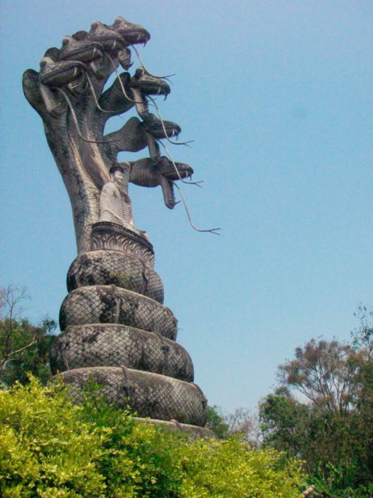 Прикольные картинки (86 фото)