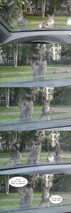 Прикольные картинки (86 фото)