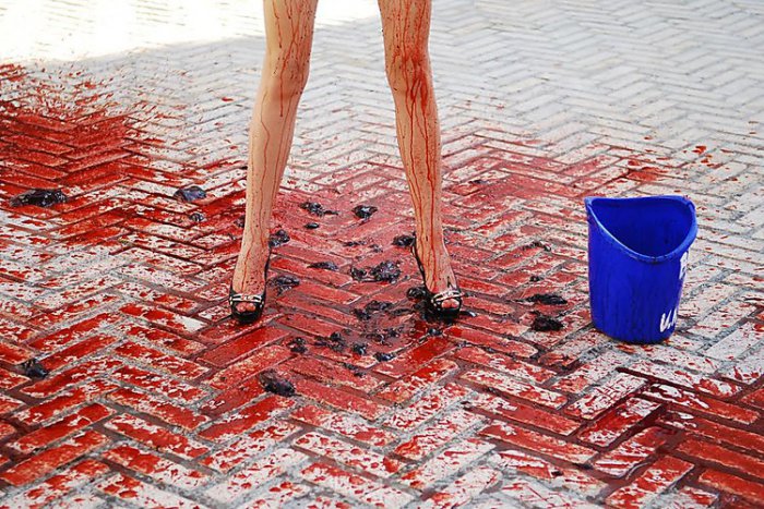 И ведра крови от FEMEN!