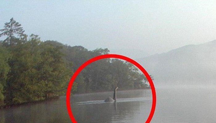 Лох-несское чудовище эмигрировало в Англию. Жесть. Фото под катом