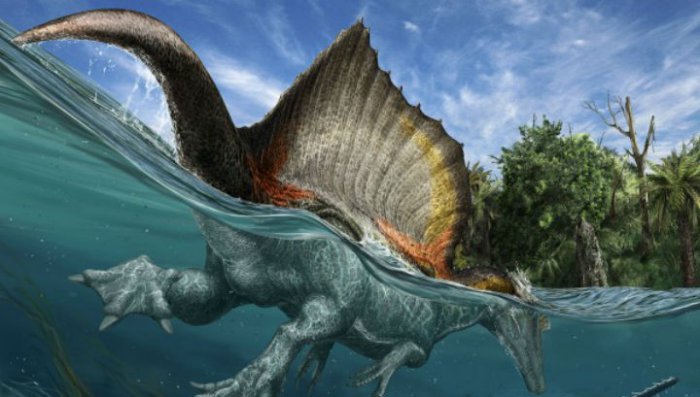 Марокканский спинозавр мог жить в морях и пожирать акул