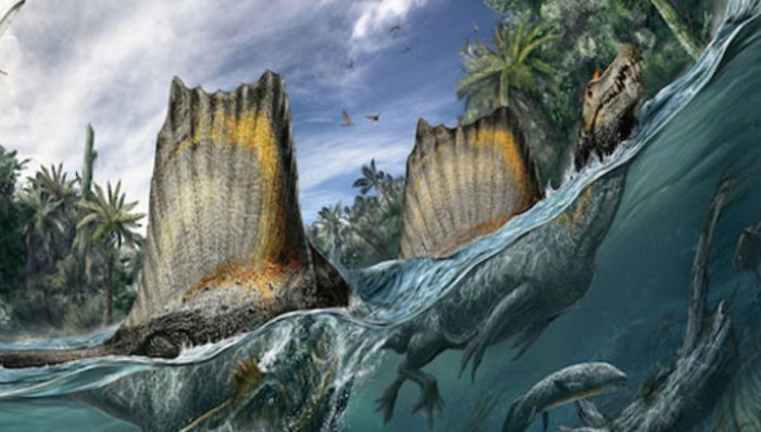 Марокканский спинозавр мог жить в морях и пожирать акул