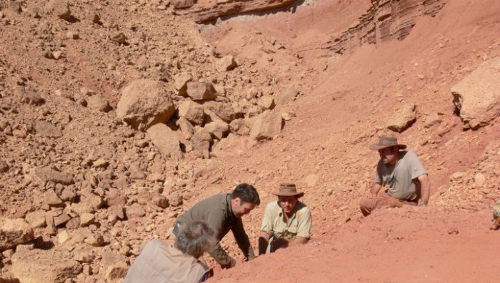 Марокканский спинозавр мог жить в морях и пожирать акул