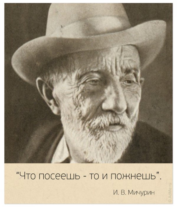 Цитаты замечательных людей. На самом деле нет