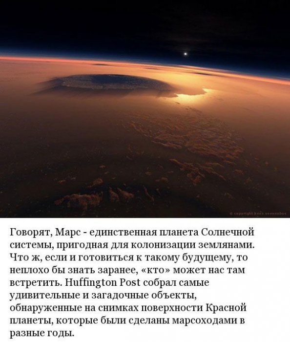 Марсианские хроники