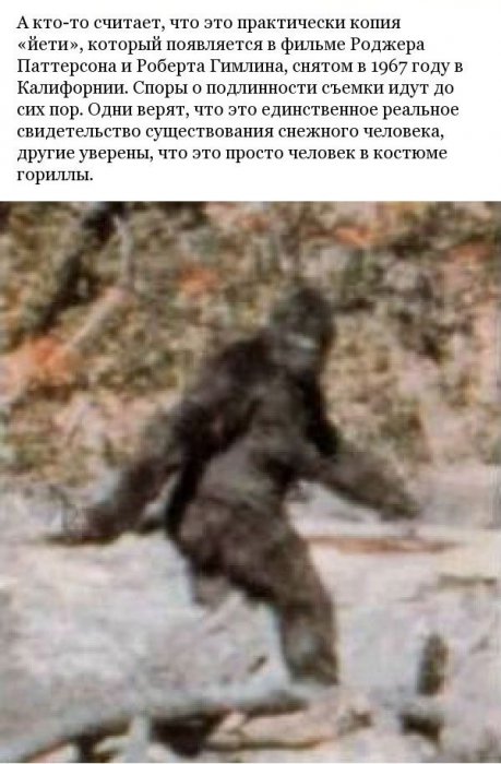 Марсианские хроники