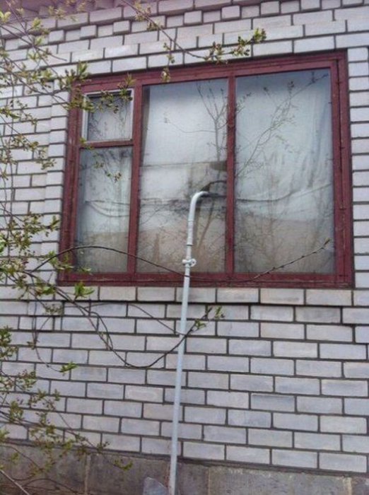 Такое возможно только в России