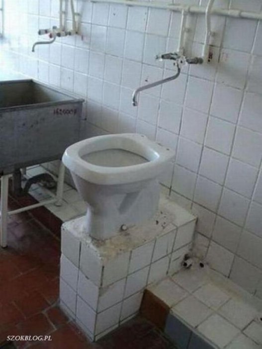 Такое возможно только в России