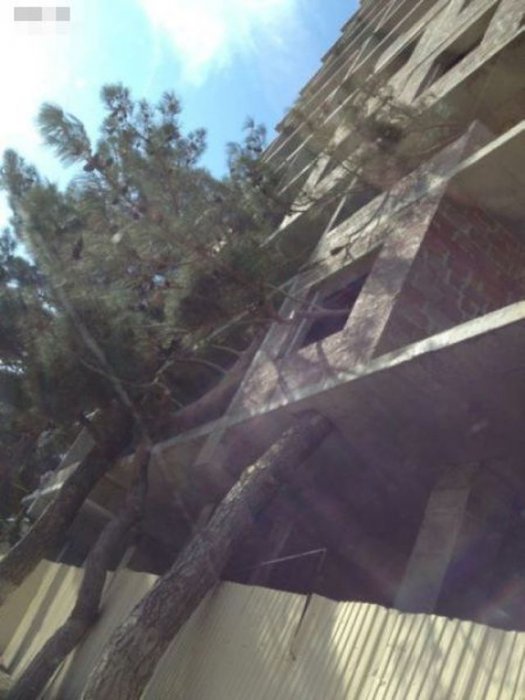 Такое возможно только в России