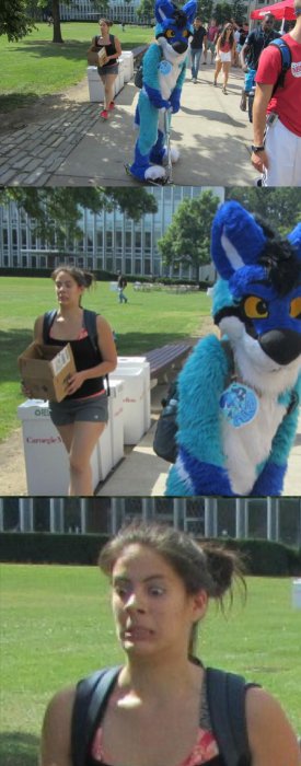 Прикольные картинки (91 фото)