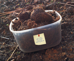 Служба ShitExpress пришлёт какашки