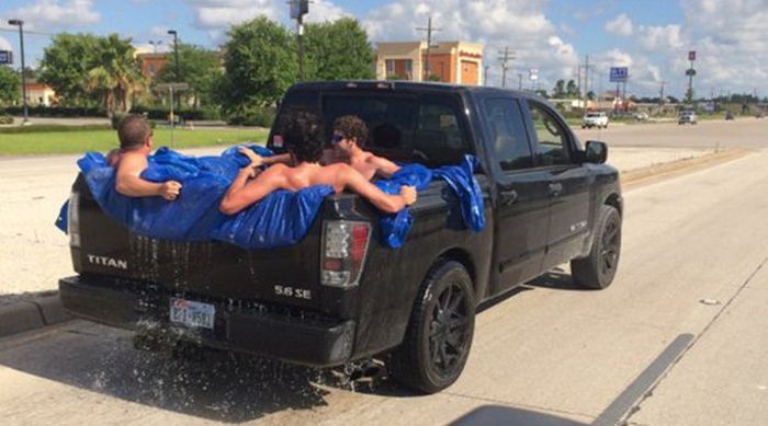 Прикольные картинки (64 фото)