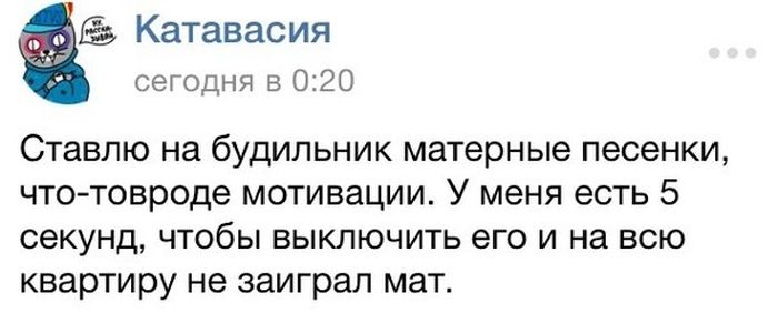 Прикольные картинки (64 фото)