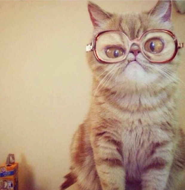 Прикольные картинки (64 фото)