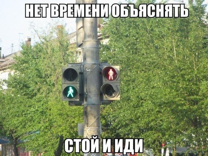 Прикольные картинки (64 фото)