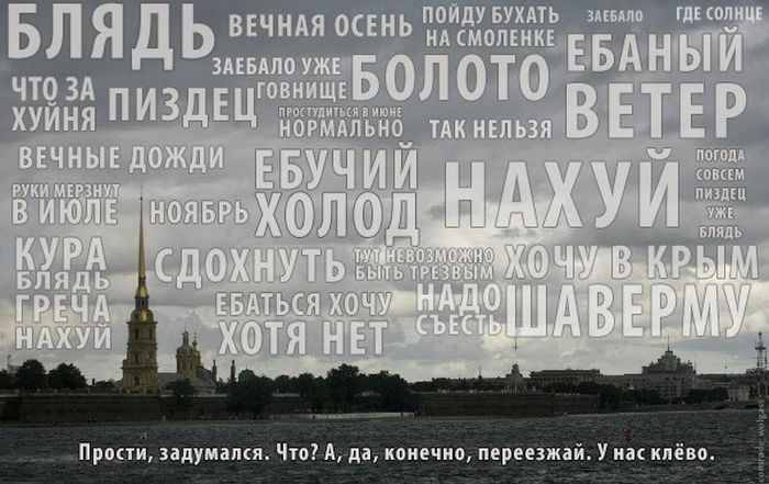 Прикольные картинки (64 фото)