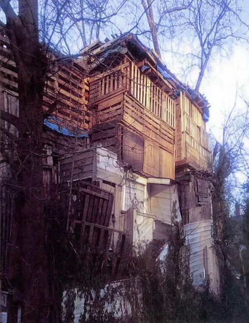 Прикольные картинки (64 фото)