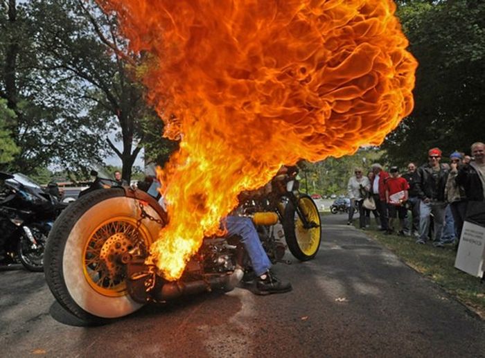 Прикольные картинки (64 фото)