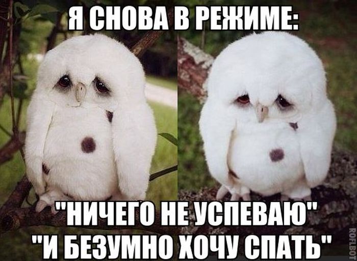 Прикольные картинки (64 фото)