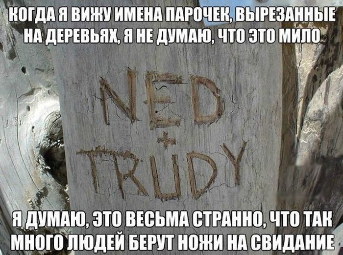 Забавные картинки