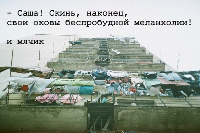 Забавные картинки